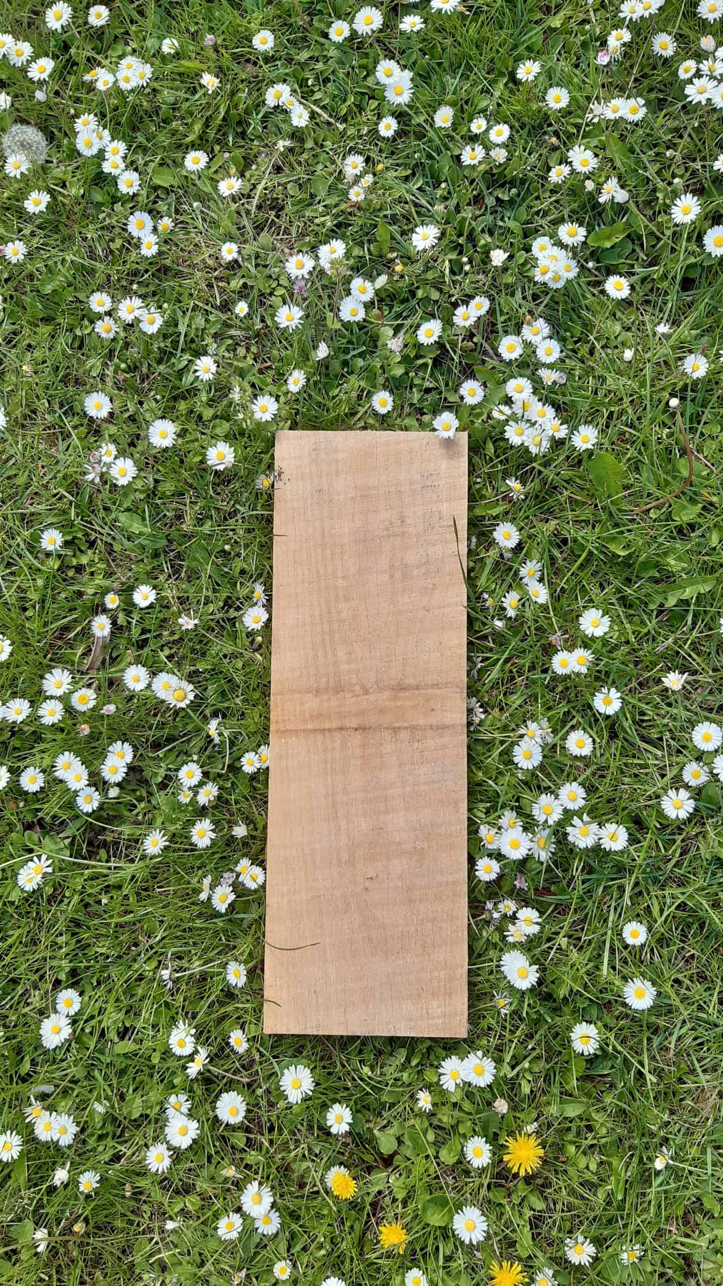 Planche Robinier - Acacia brute - La fabrique à bois